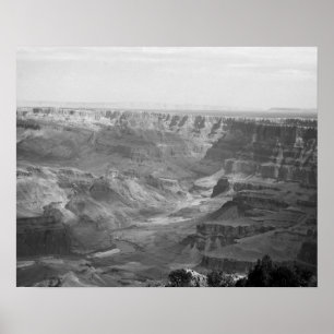 Black & White Colorado River i Grand Canyon 16 x 2 Poster