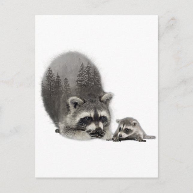 Black White Cute Raccoon med Baby Vykort (Framsida)
