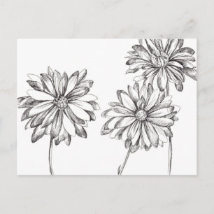 Black White Daisy Flower Bouquet Teckning Vykort
