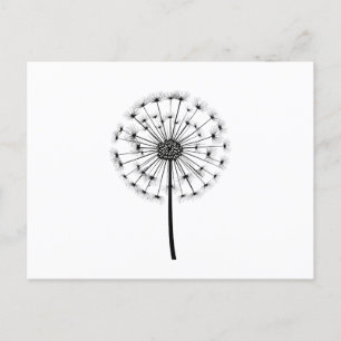 Black White Dandelion Line Art Vykort