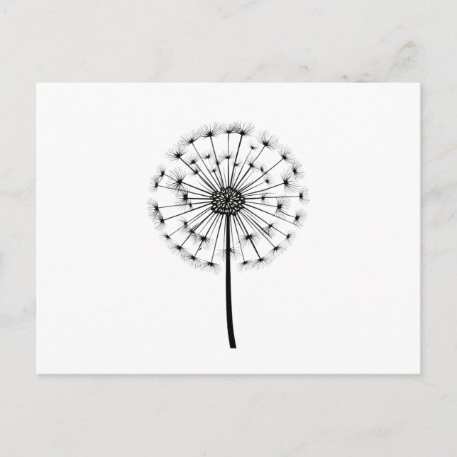 Black White Dandelion Line Art Vykort (Framsida)