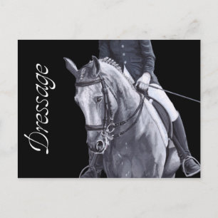 Black & White Duo Dressage Horse vykort