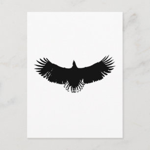 Black & White Eagle Silhouette Vykort