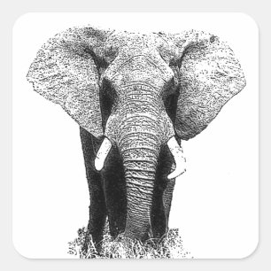 Black & White Elephant Fyrkantigt Klistermärke