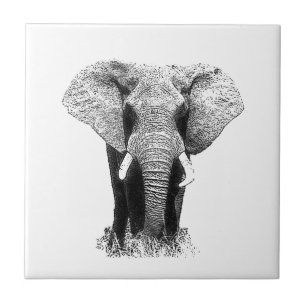 Black & White Elephant Kakelplatta