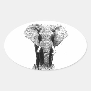 Black & White Elephant Ovalt Klistermärke