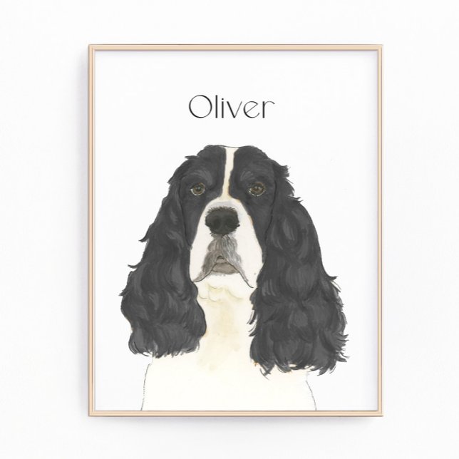 Black & White English Springer Spain Art Fototryck (Skapare uppladdad)