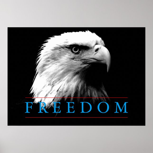 Black White Freedom American Eagle Poster (Framsidan)