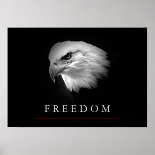 Black White Freedom Eagle Ansikte Poster