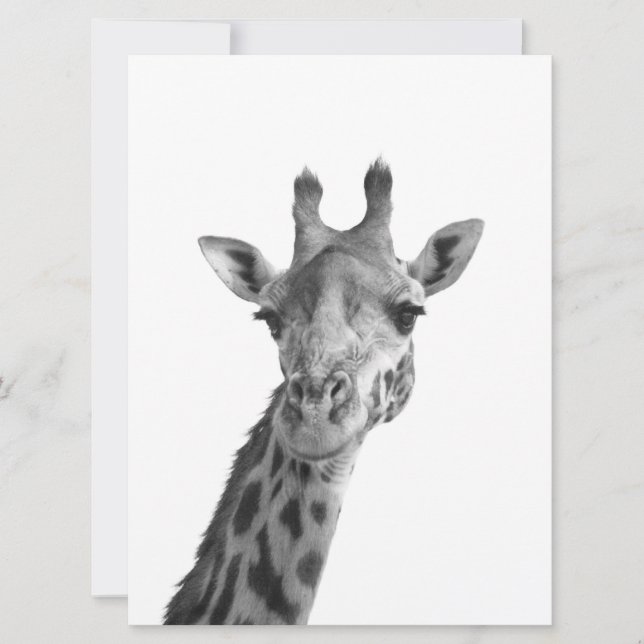 Black & White Giraffe (Framsida)