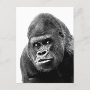 Black White Gorilla Helg Vykort