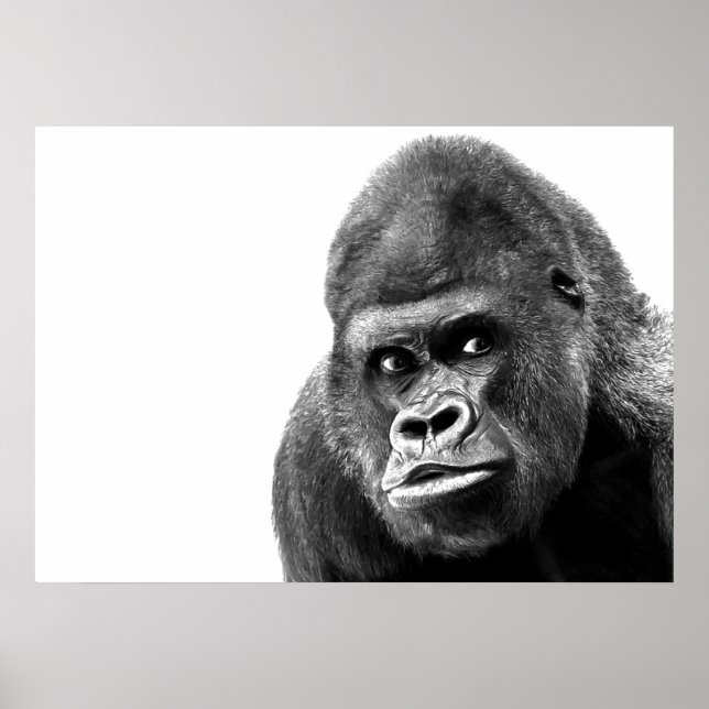 Black White Gorilla Poster (Framsidan)