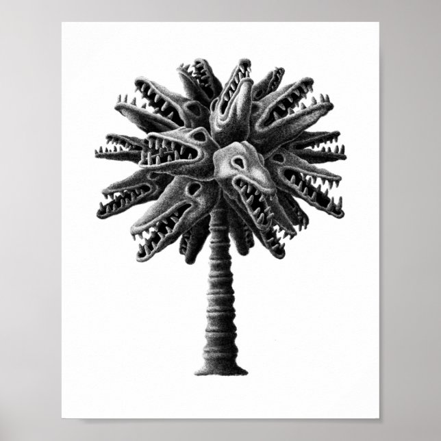 Black White Gothic Döskallars Horror Handflatan Tr Poster (Framsidan)