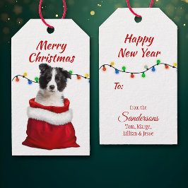 Black White Gräns Collie Puppy i Santa Bag Presentetikett