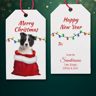 Black White Gräns Collie Puppy i Santa Bag Presentetikett