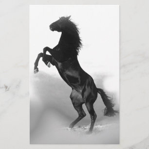 Black White Horse Brevpapper