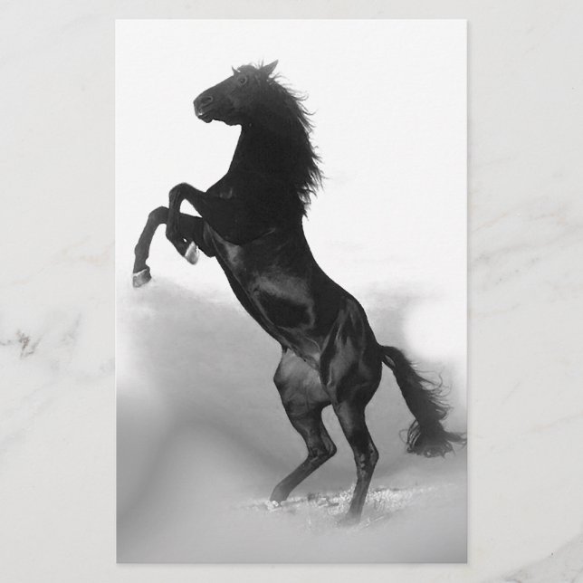 Black White Horse Brevpapper (Framsida)