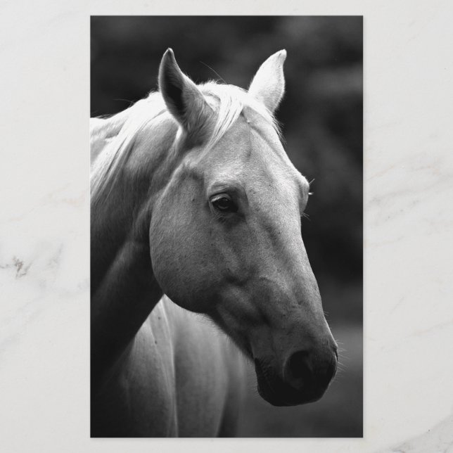 Black White Horse Brevpapper (Framsida)