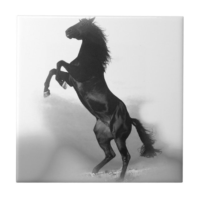 Black White Horse Kakelplatta (Framsidan)