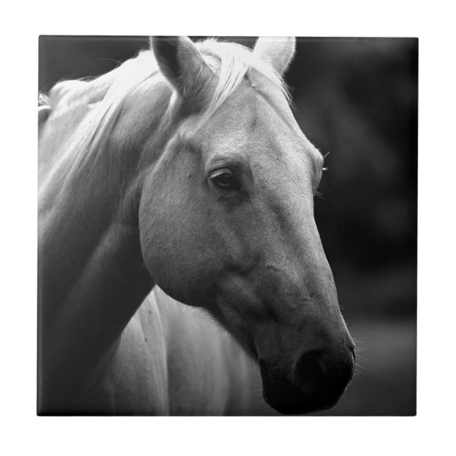 Black White Horse Kakelplatta (Framsidan)