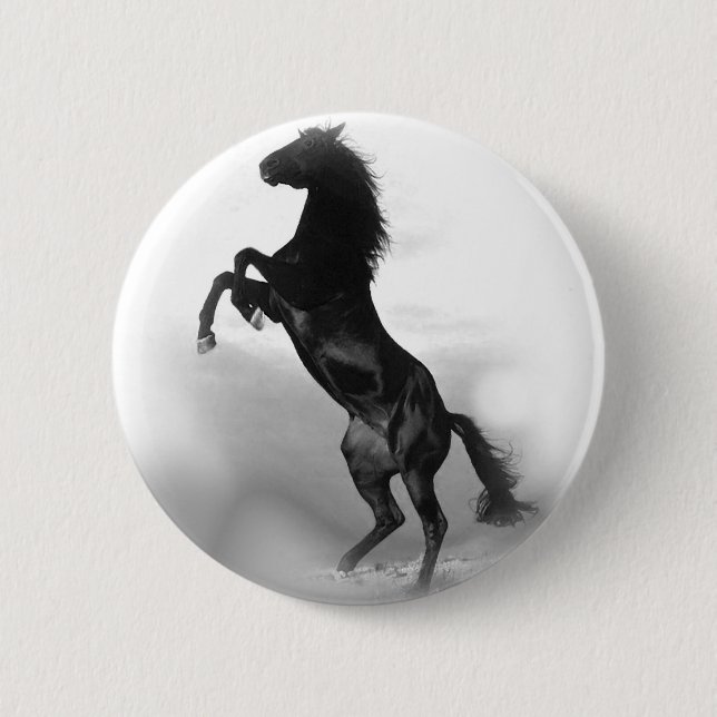 Black White Horse Knapp (Framsida)