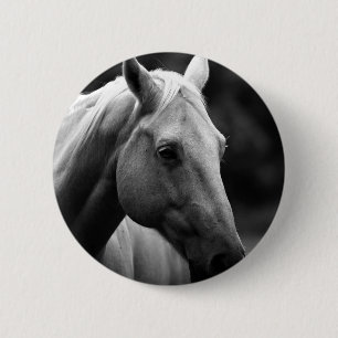 Black White Horse Knapp