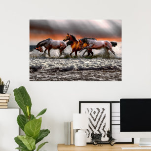 Black White Horse Monochrome Bild Canvas Poster