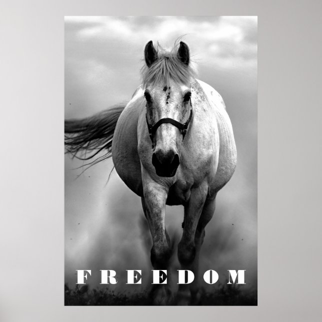 Black White Horse Motivational Freedom Artwork Poster (Framsidan)