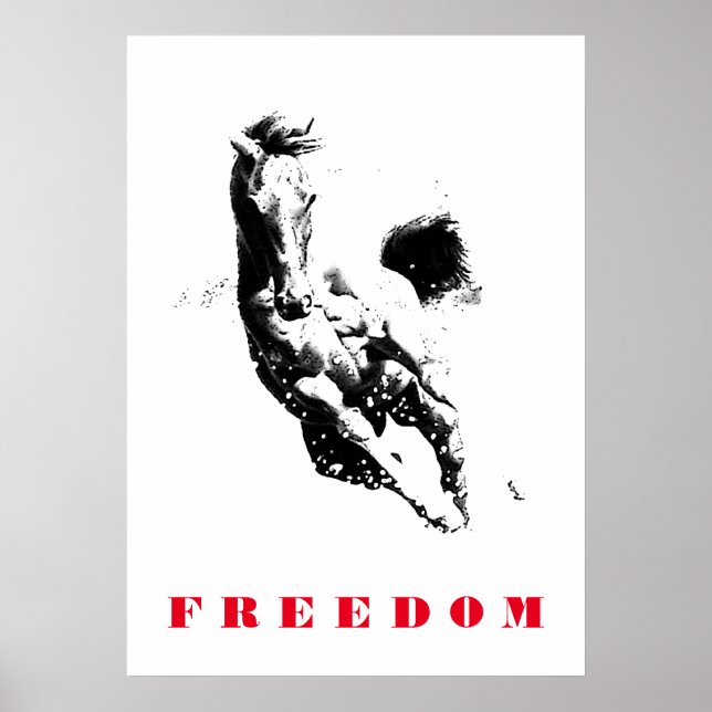 Black White Horse Motivtive Freedom Pop Art Poster (Framsidan)