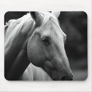 Black White Horse Musmatta