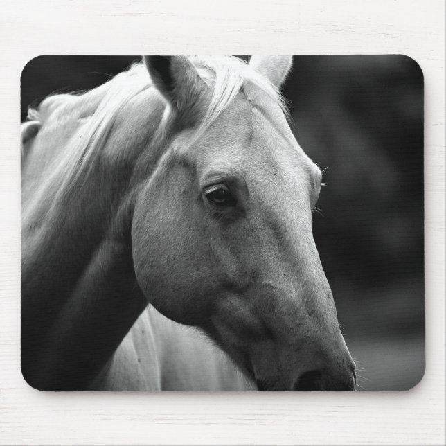 Black White Horse Musmatta (Framsidan)