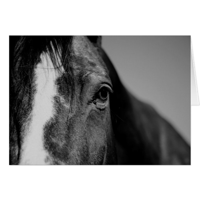 Black White Horse Öga Artwork Hälsningskort (Framsidan Horizontal)