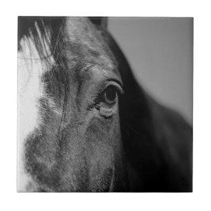 Black White Horse Öga Artwork Kakelplatta
