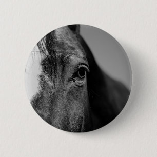 Black White Horse Öga Artwork Knapp