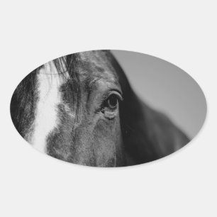 Black White Horse Öga Artwork Ovalt Klistermärke