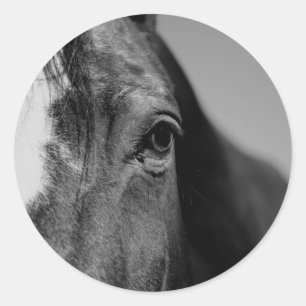 Black White Horse Öga Artwork Runt Klistermärke