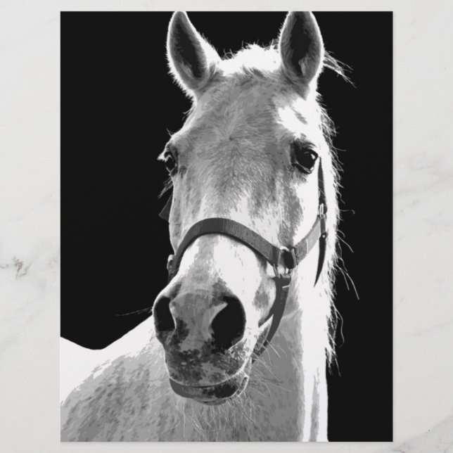 Black White Horse på natten (Framsida)