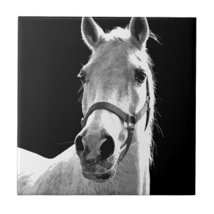 Black White Horse på natten Kakelplatta