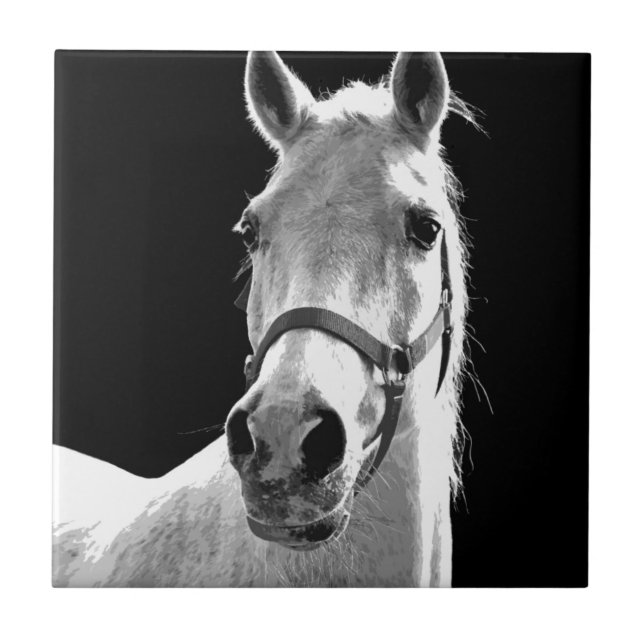 Black White Horse på natten Kakelplatta (Framsidan)