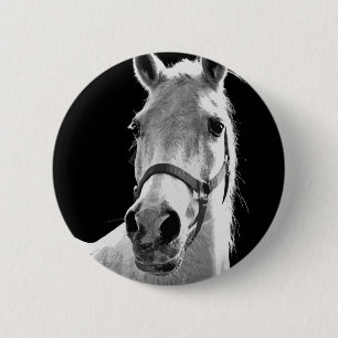 Black White Horse på natten Knapp