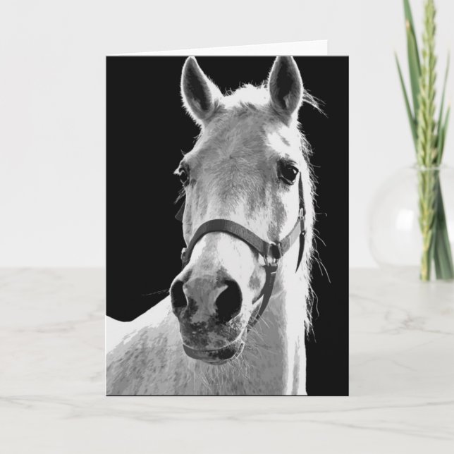 Black White Horse på natten Kort (Framsida)