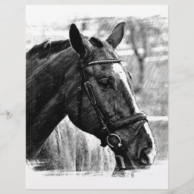 Black White Horse Sketch (Framsida)