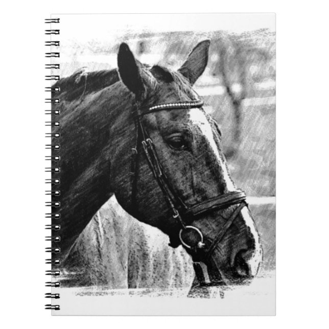 Black White Horse Sketch Anteckningsbok Med Spiral (Framsidan)