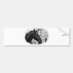 Black White Horse Sketch Bildekal