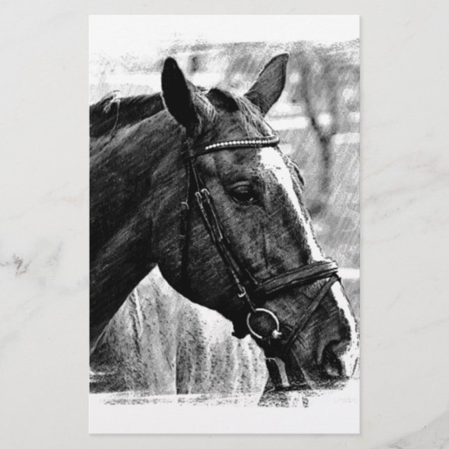 Black White Horse Sketch Brevpapper (Framsida)