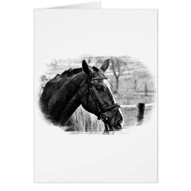 Black White Horse Sketch Hälsningskort (Framsidan)