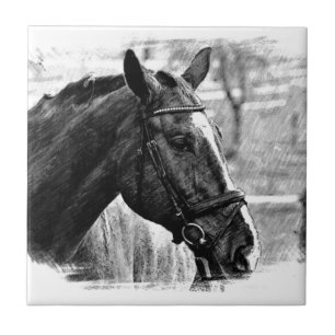 Black White Horse Sketch Kakelplatta