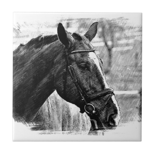 Black White Horse Sketch Kakelplatta (Framsidan)