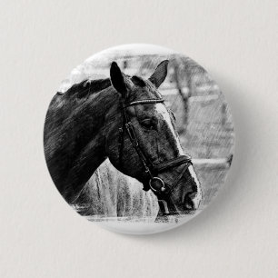 Black White Horse Sketch Knapp