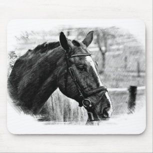 Black White Horse Sketch Musmatta